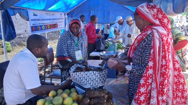 Aïd al-Adha : des «marchés d’Arafat» actifs dans la capitale